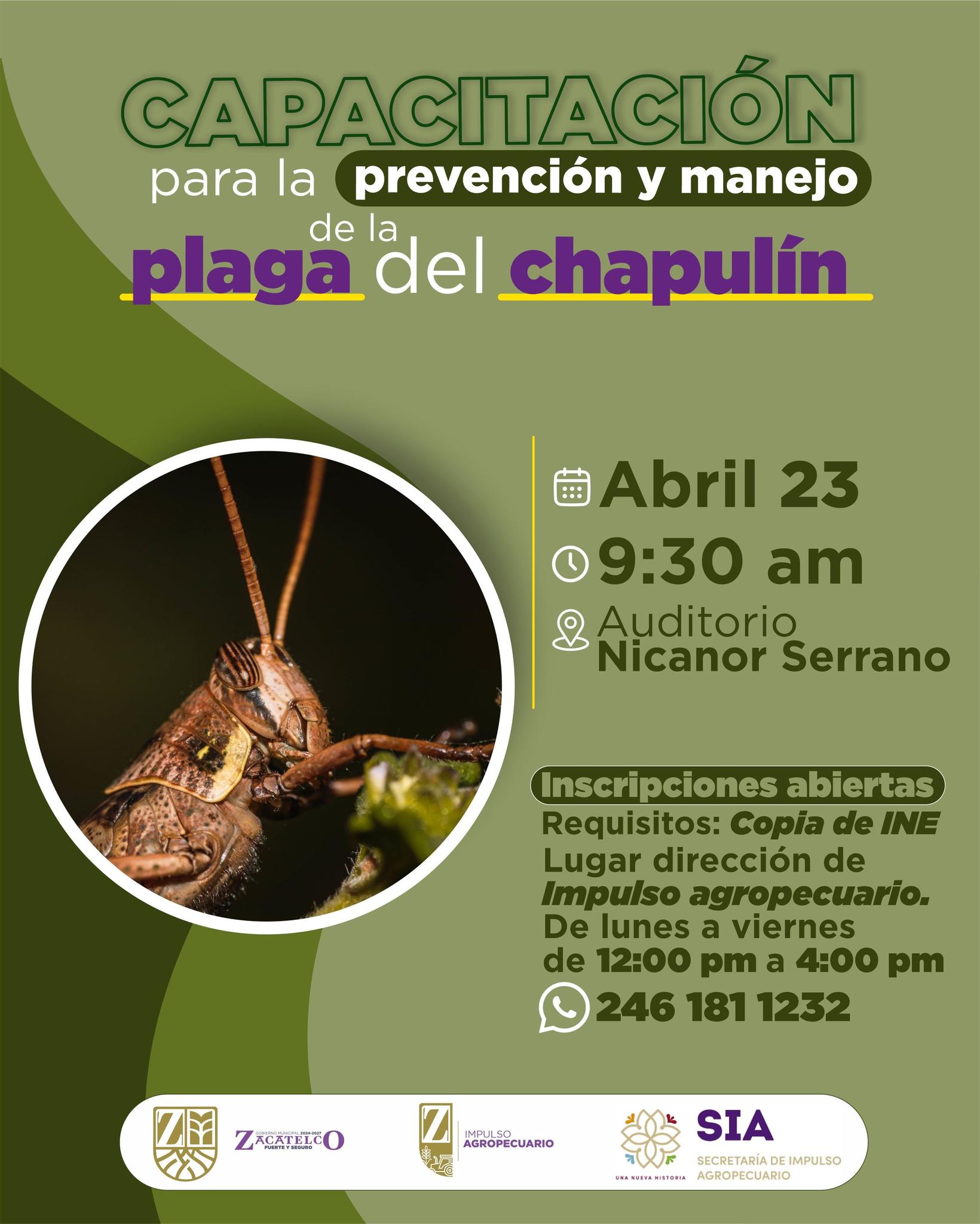 Capacitación para la prevención y manejo de la plaga del chapulín