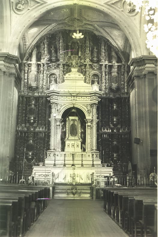 Antiguo Ciprés de la Parroquia de Santa Inés