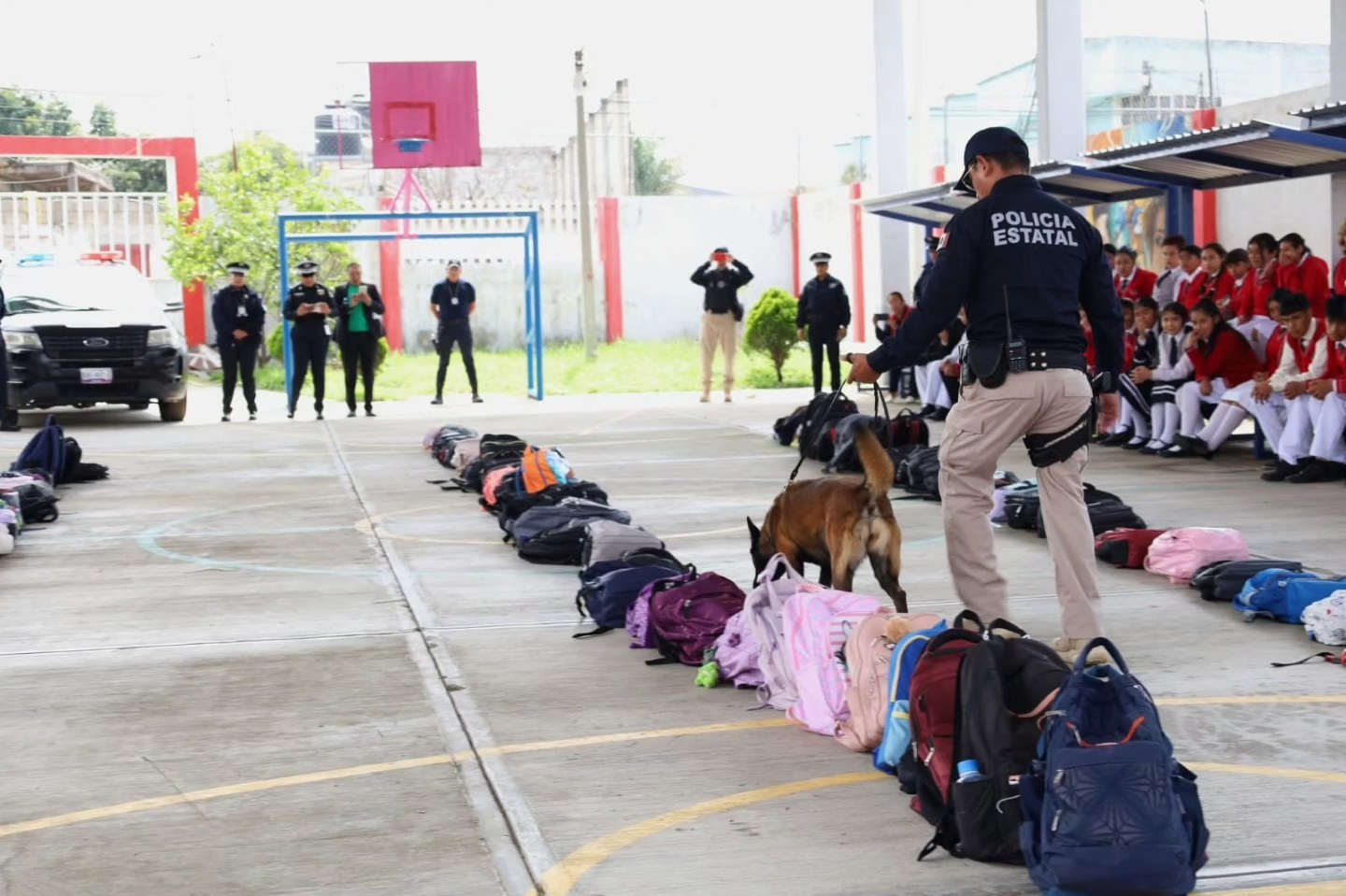 Imagen de la noticia