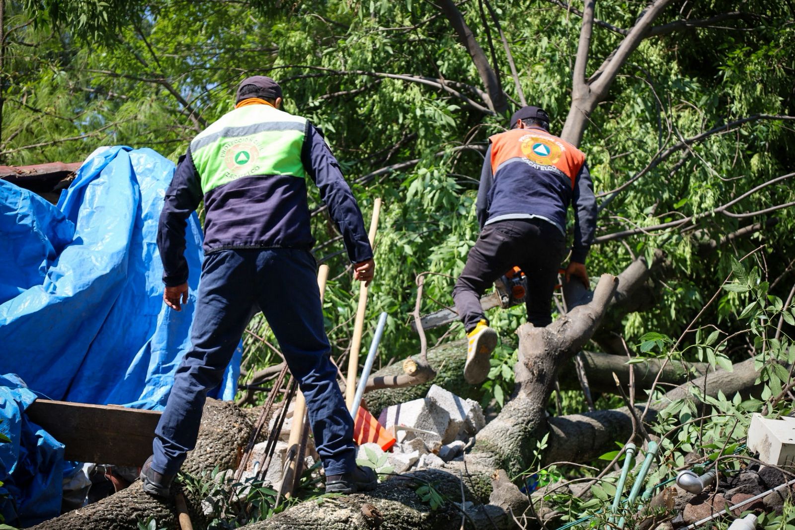 Imagen de la noticia