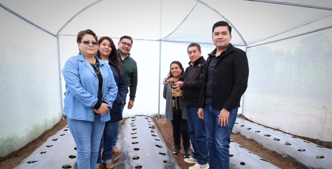 Imagen de la noticia