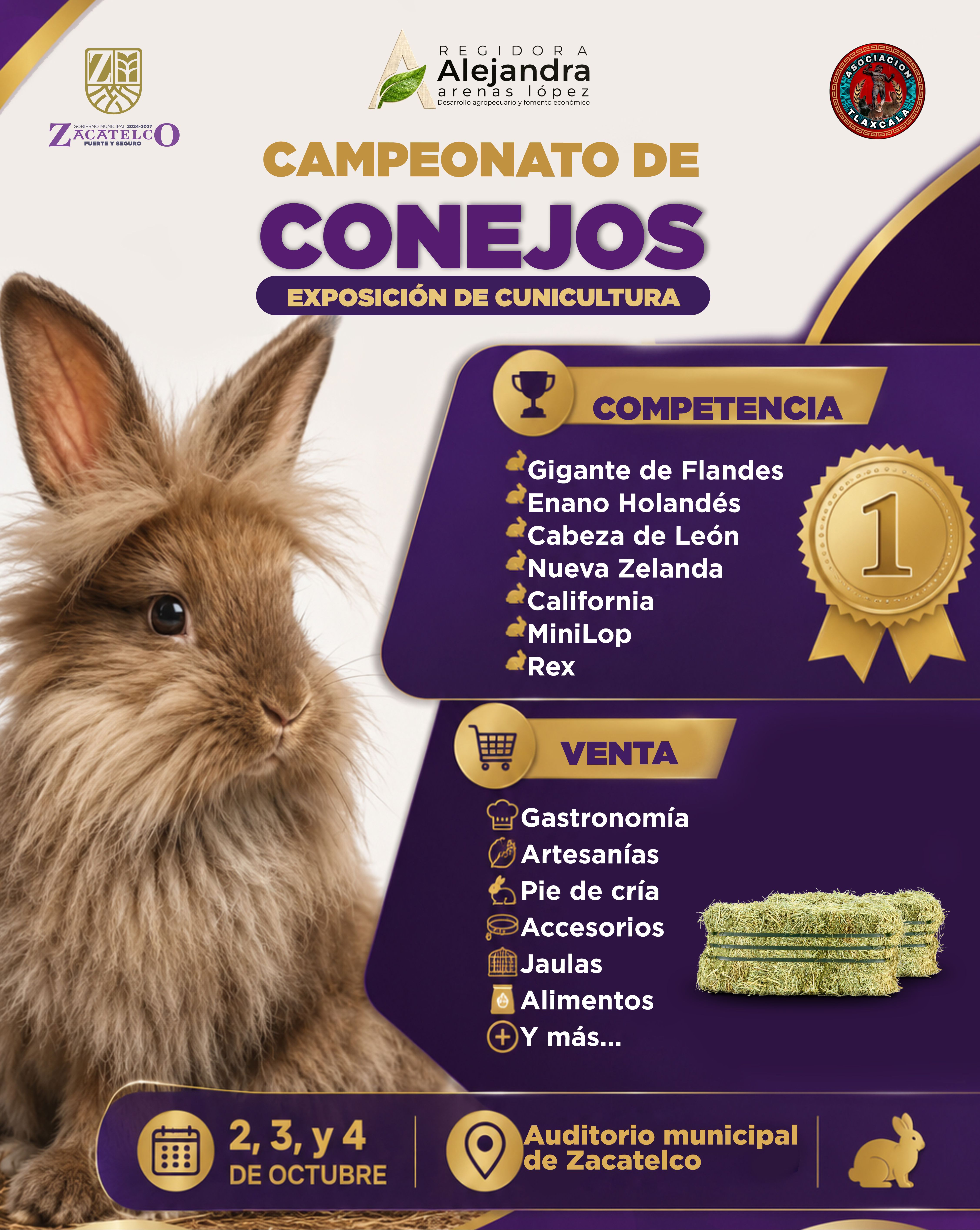 Imagen de noticia