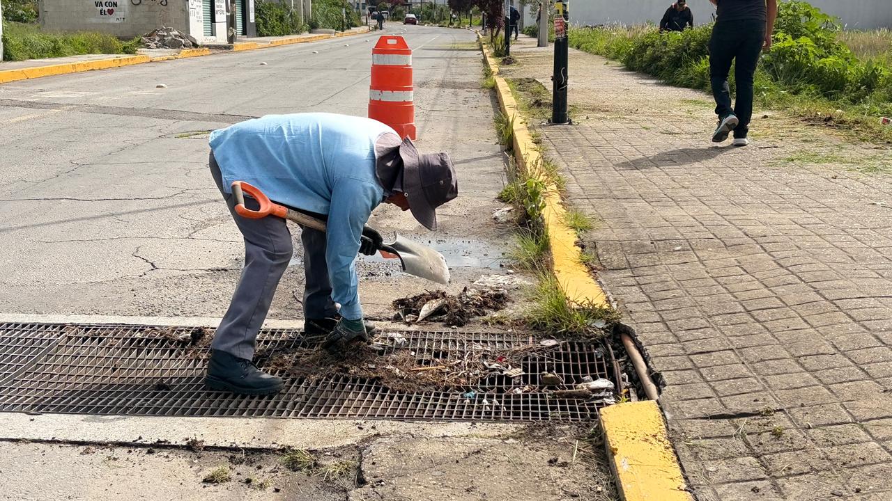 Gobierno de Zacatelco fortalece acciones de limpieza y reforestación en espacios públicos