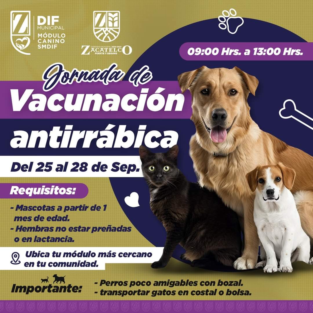 Imagen de noticia